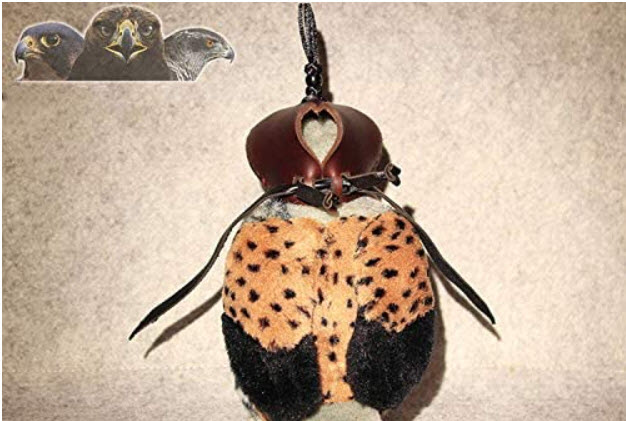 Falcon Hat Eye Patch