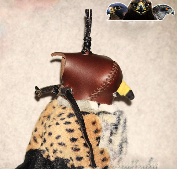 Falcon Hat Eye Patch