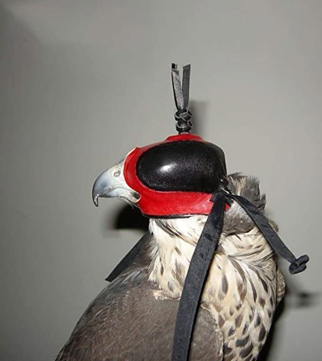 Leather Headgear Eye Patch